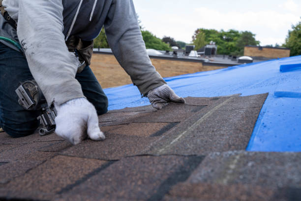 Best Commercial Roof Installation  in Arlington, NE